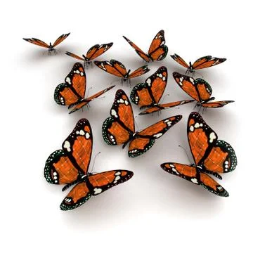 Orange butterflies Stock Illustration