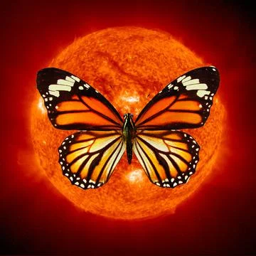 Orange butterfly against the sun. Elements of this image furnished by NASA Stock Photos
