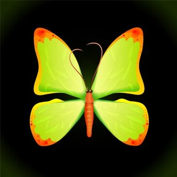 Orange butterfly in black background. Stock Illustration