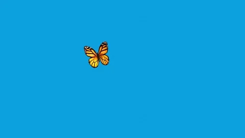 Orange Butterfly Flying on a Blue Background Stock Footage 93850028