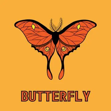 Orange Butterfly Stock Illustration