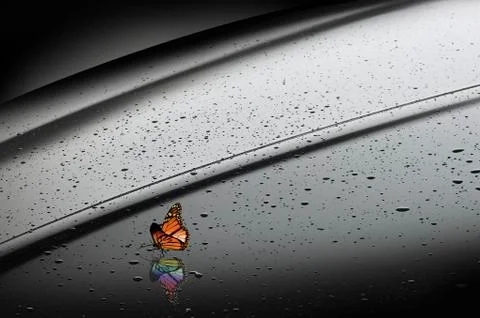 Orange butterfly with rainbow reflection Foto stock