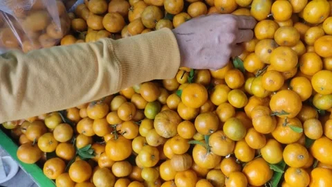 Orange buyer Stock Footage 307772527