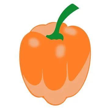 Orange capsicum isolated on white background cooking ingredient vegetable - 1 Stock Illustration