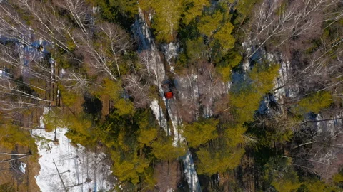 Orange car driving through a spring forest, top view. Icy Escapade. Vivid ATV Stock Footage 262950613