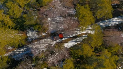 Orange car driving through a spring forest, top view. Icy Escapade. Vivid ATV Stock Footage 263013100