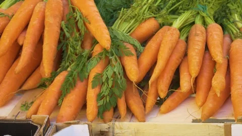 Orange carrots and leafy greens display Stock Footage 334656652