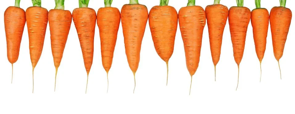 Orange carrots  isolated  on a white background Stock Photos
