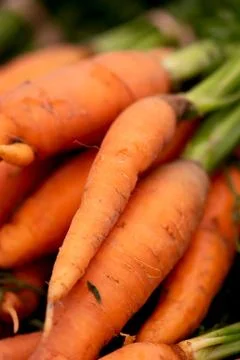 Orange Carrots Stock Photos