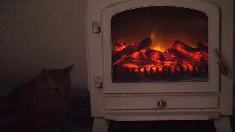 Orange cat beside indoor, artificial fireplace Stock Footage 315348841