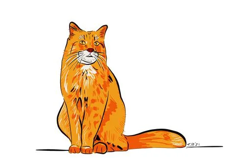 Orange Cat Stock Illustration