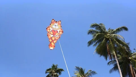 Orange Cat Kite beautiful cute and funny flying in the blue sky Stock Footage 123932753