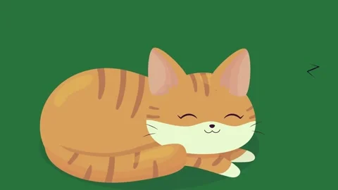 An orange cat sleeping on a green background and surface isolated isolated on Stock Footage 336890201