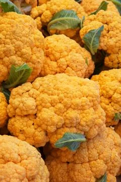 Orange cauliflower Stock Photos