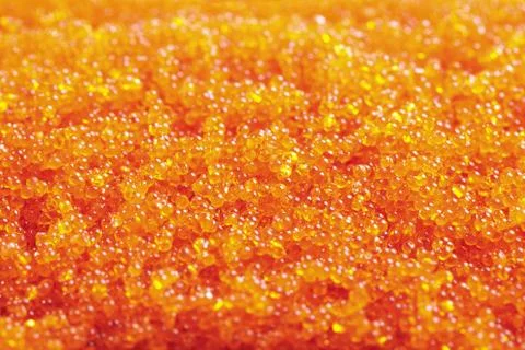 Orange caviar Stock Photos