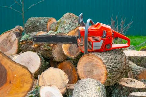 Orange chainsaw lying on a log Foto stock