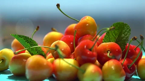 Orange cherries being sprayed with water droplets Stock Footage 94053993