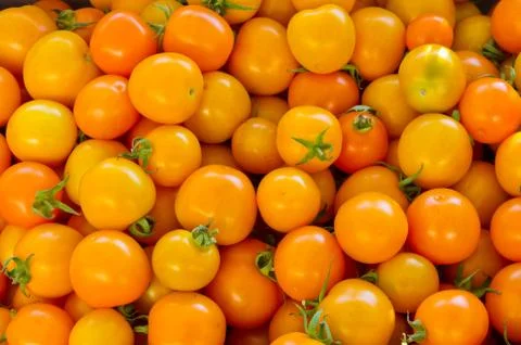Orange cherry tomatoes Foto stock