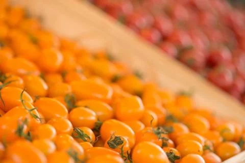 Orange cherry tomatoes Stock Photos
