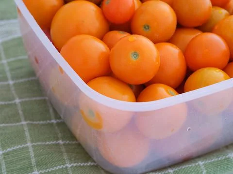 Orange cherry tomatoes in a plastic box Stock Photos