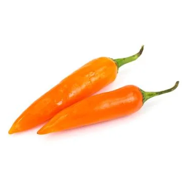 Orange chili Stock Photos