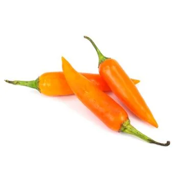 Orange chili Stock Photos