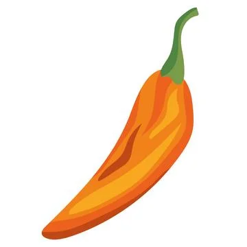 Orange chilli pepper Stock Illustration