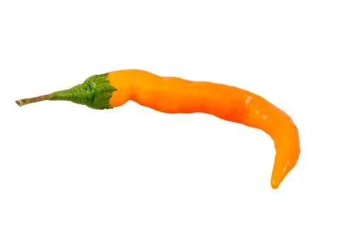 Orange chilli peppper on a white background Stock Photos
