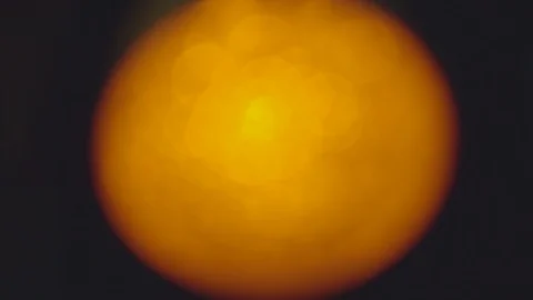 Orange Circle of Light Video stock 86519548