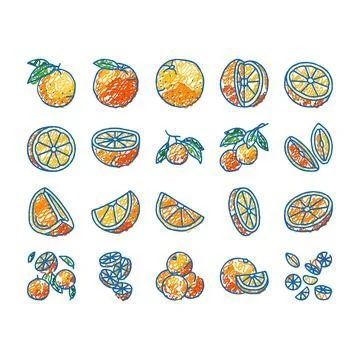 Orange citrus fresh slice juice icons hand drawn Stock Illustration