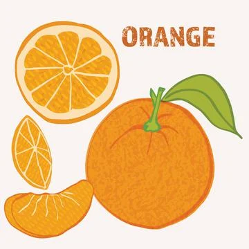 Orange citrus fruit vector illustration. Colorful textured modern design. Stock Illustration