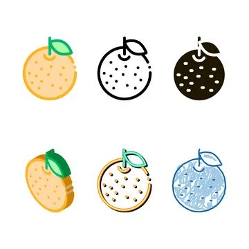 Orange citrus icon diversity vector outline Stock Illustration