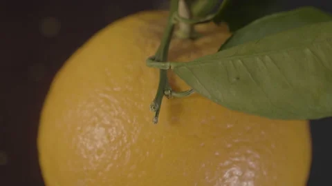 Orange close up Stock Footage 176442070