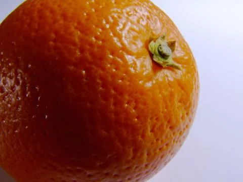 Orange close up Stock Photos