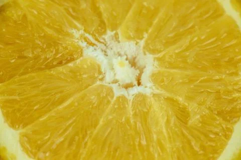 ORANGE CLOSE UP Stock Photos