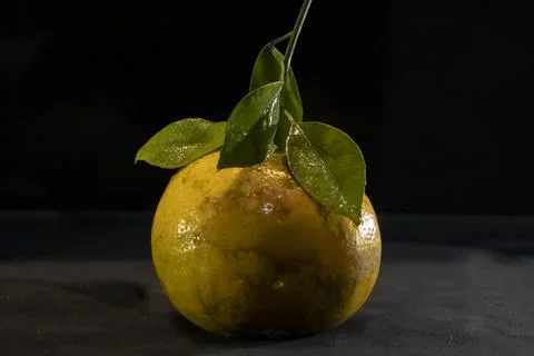 Orange up close Stock Photos