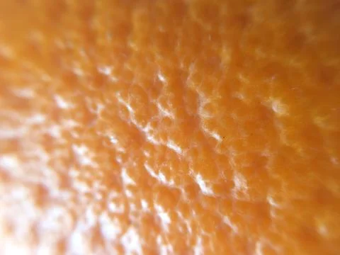 An orange closeup Stock Photos