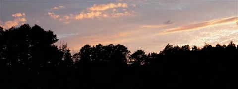 Orange Clouds Over Forest Sunset Timelapse Anamorphic Stock Footage 139523780