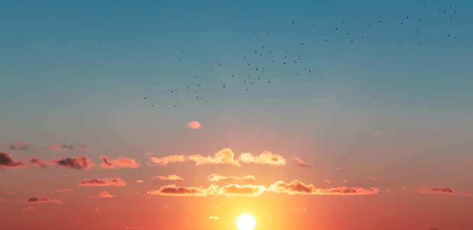 Orange clouds Stock Photos