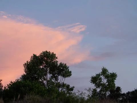 Orange clouds in the sky. Stock Photos