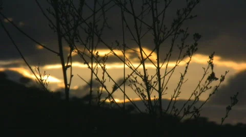 Orange clouds on sunset - rack focus Video stock 501498