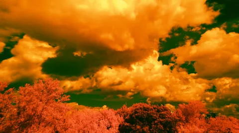 Orange clouds, trees and green sky, infrared time lapse t1365J Stock Footage 32898078