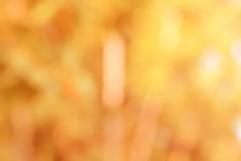 Orange color abstract bacground withe blurred defocus bokeh light for template Stock Photos