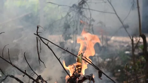 Orange color fire flame with gray and black color smoke from burning sticks Stock Footage 132019911