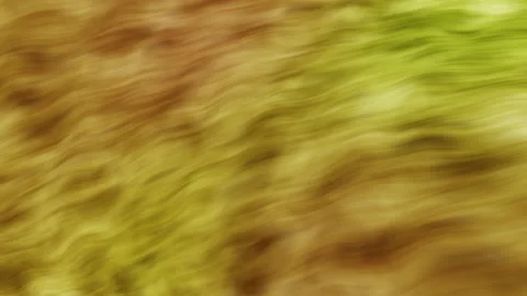 Orange color with gradient wave motion Stock Footage 165994116