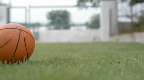 Orange color rubber ball rolling on green grass 库存影片 30462769