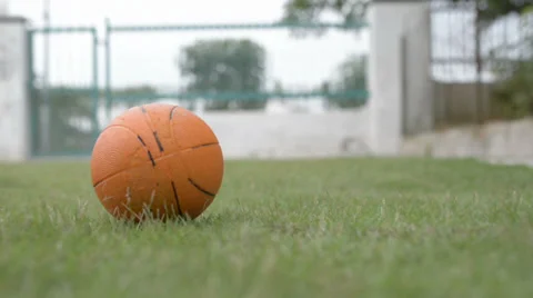 Orange color rubber ball rolling on green grass 库存影片 30462777