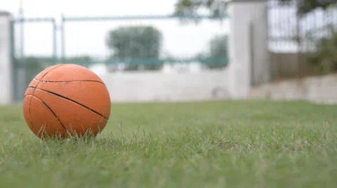 Orange color rubber ball rolling on green grass Vidéo 30462781