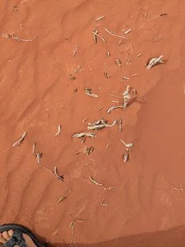 Orange color sand texture pattern background. Wadi Rum desert, Jordan,Arabia Stock Photos