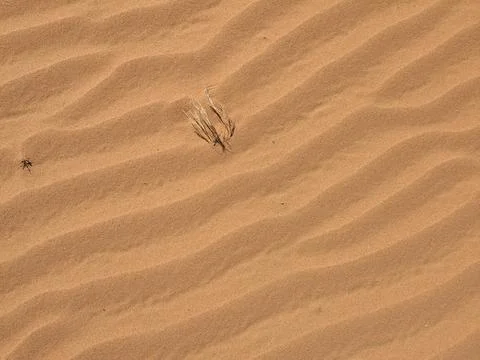 Orange color sand texture pattern background. Wadi Rum desert, Jordan,Arabia Stock Photos